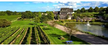 Tawse Winery (Niagra)