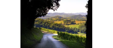 Ch&acirc;teau de l&rsquo;&Eacute;toile (Jura/l'Etoile)