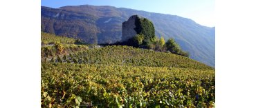 Maison du Vigneron Savoie