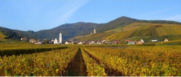 Alsace