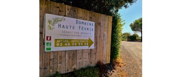 Domaine Haute Févrie (Miljø) (Muscadet Sèvre et Maine)