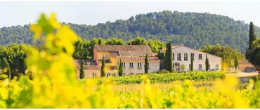 Le Grand Cros (Côtes de Provence)