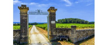 Château d'Aqueria (Miljø) (Tavel)