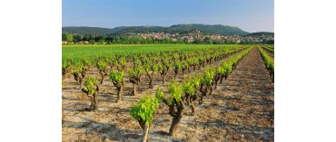 Domaine All&eacute;gret (Milj&oslash;) (Laudun)