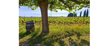 Mas des Bressades (&Oslash;kologisk) (Costieres de Nimes)