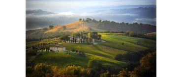 Decugnano dei Barbi (Milj&oslash;) (Orvieto/Umbrien)