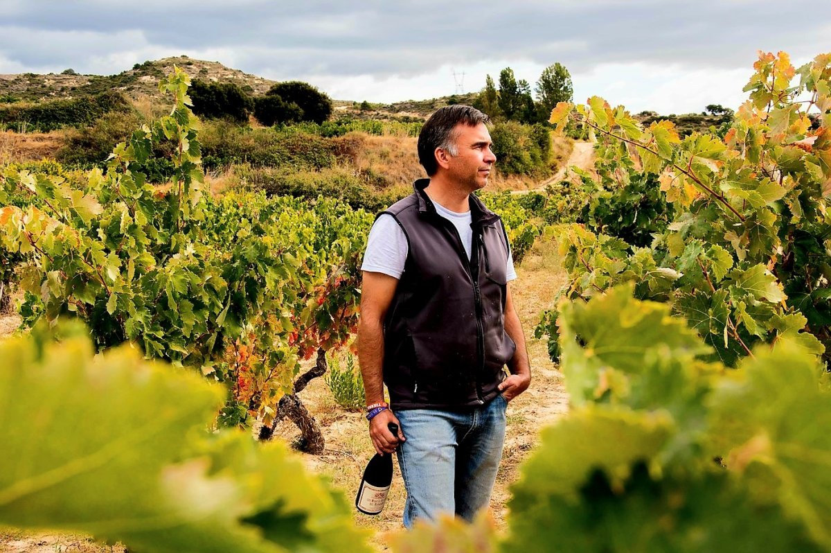 Carlos Sanchez (Miljø) (Rioja) - THE WINE COMPANY ApS