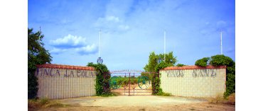 Vinos Sanz (Rueda)