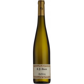 AJ Adam, Hofberg Riesling Trocken 2019