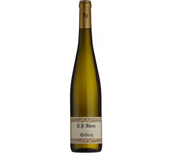 AJ Adam, Hofberg Riesling Trocken 2019
