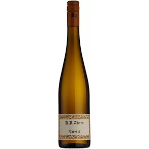  AJ Adam, Dhroner Trocken 2023