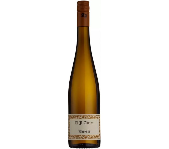 AJ Adam, Dhroner Trocken 2024