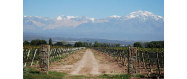Chakana Wines (Miljø) (Mendoza)