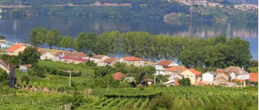 Bodega Villanueva (Ras Baixas)